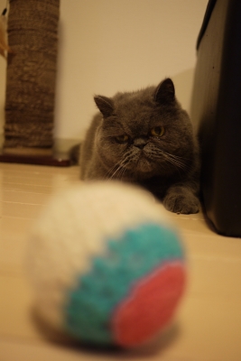 P1220907 のコピー.jpg