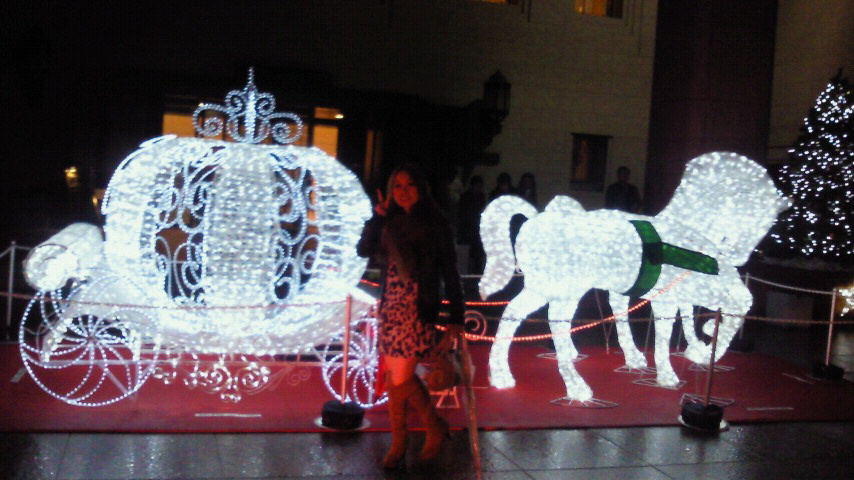 2010121411190000.jpg