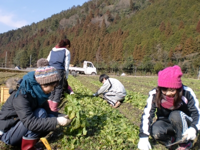 でこべじさん。