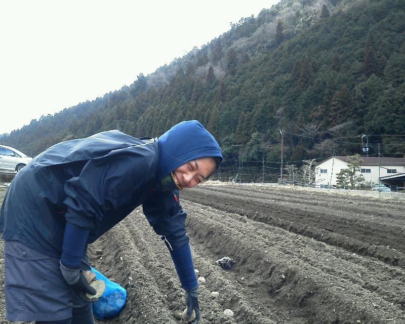 野村氏が植えた。