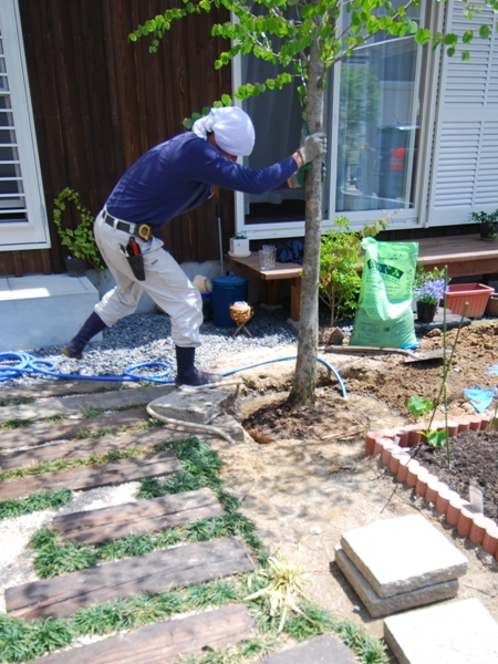 カツラの引越し 住暮楽ブログ すみくらぶろぐ