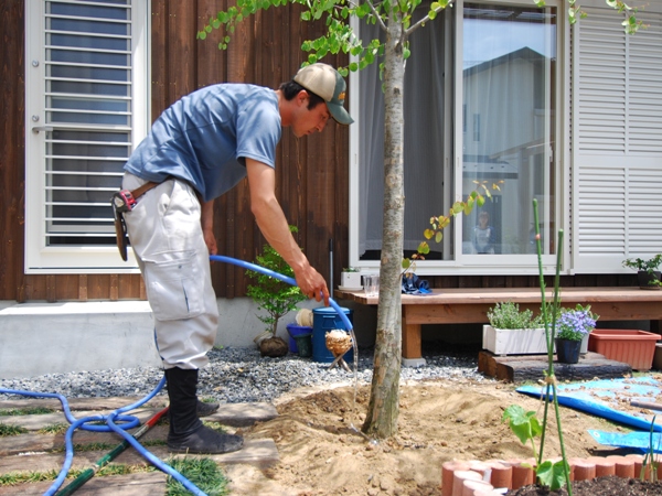 カツラの引越し 住暮楽ブログ すみくらぶろぐ