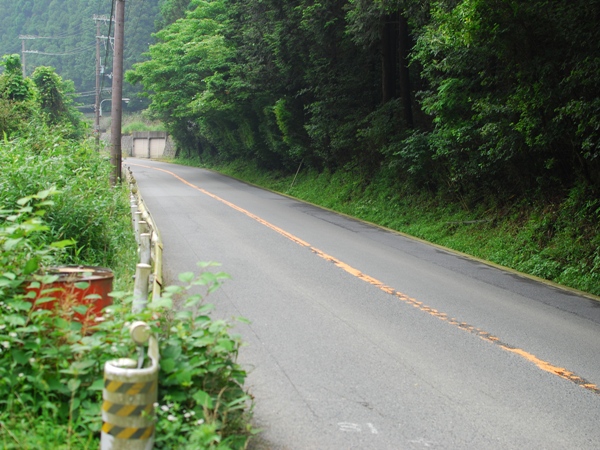 DSC_7543.JPG
