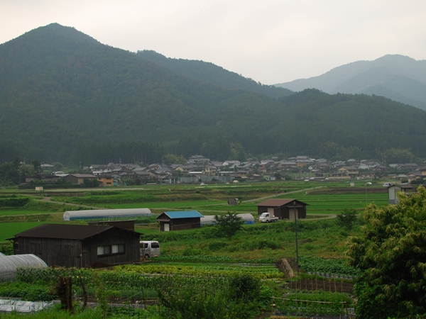 DSC_7547.JPG