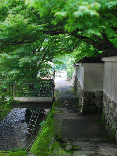 DSC_7587.JPG