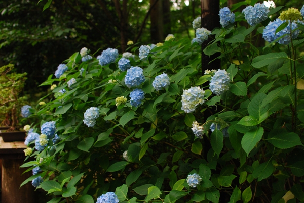DSC_7573.JPG
