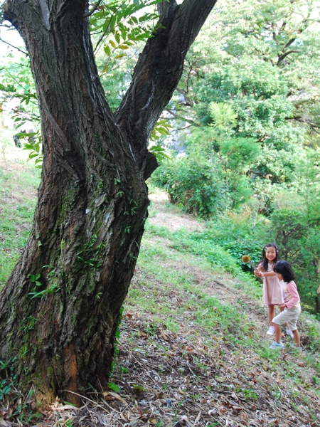 DSC_9649.JPG
