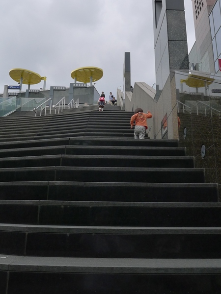 P1000209.JPG