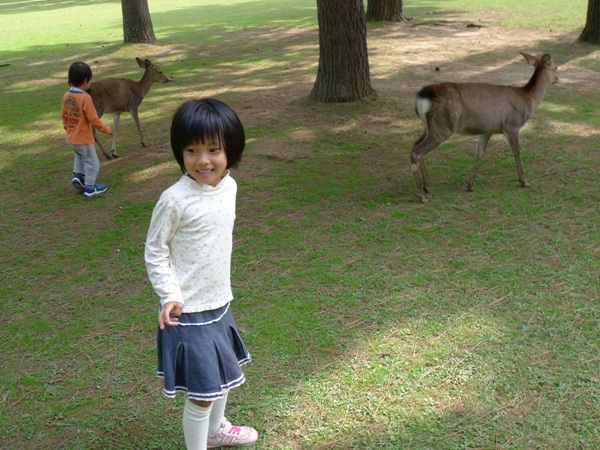 P1000235.JPG