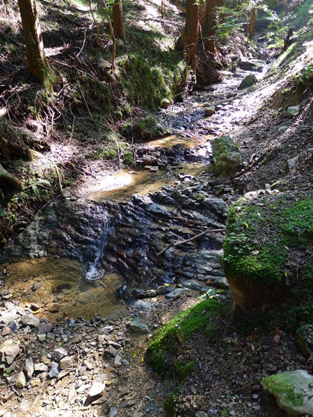 P1030258.jpg
