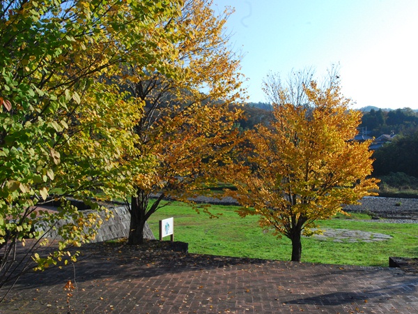 DSC_6676.jpg