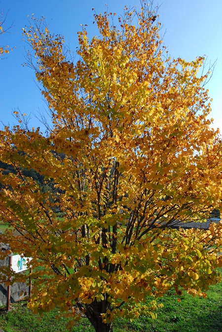 DSC_6679.jpg