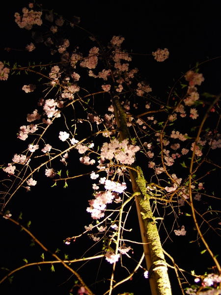 DSC_9159.jpg