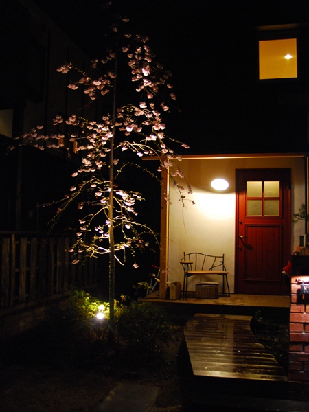 DSC_9169.jpg