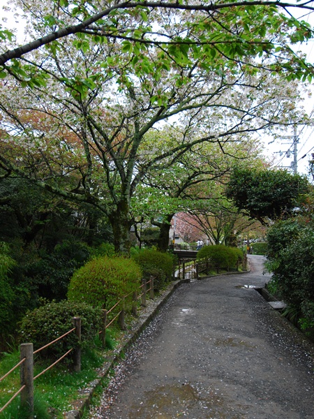 DSC_9549.jpg