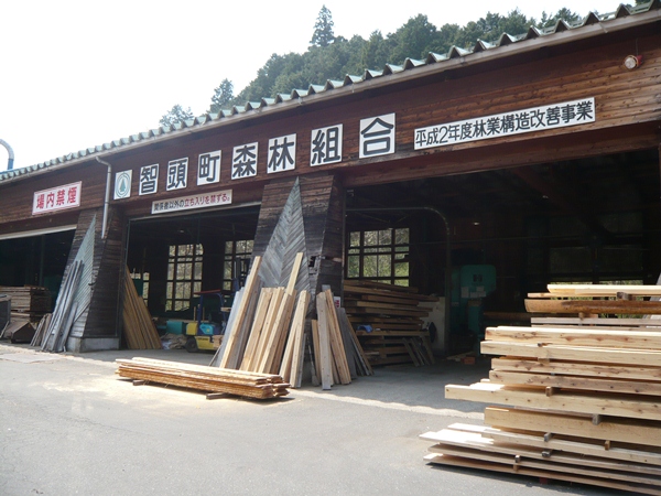 P1050007.jpg