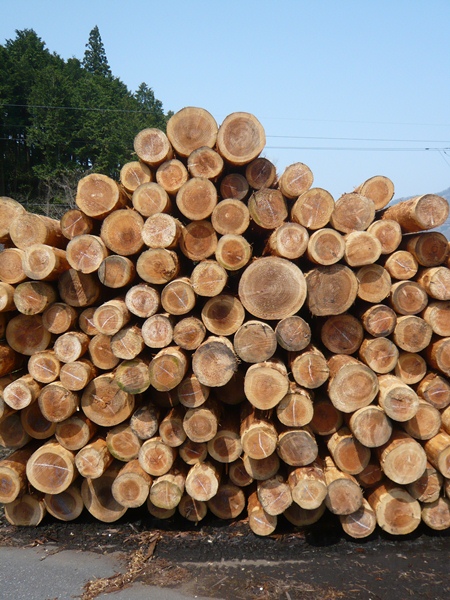 P1050017.jpg