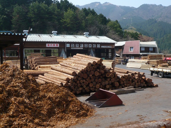 P1050019.jpg
