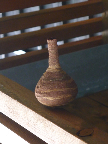 P1070033.jpg