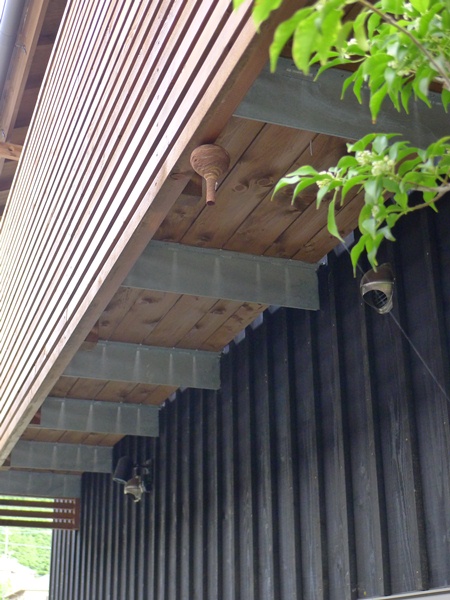 P1070034.jpg