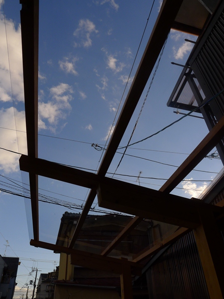 P1090229.jpg