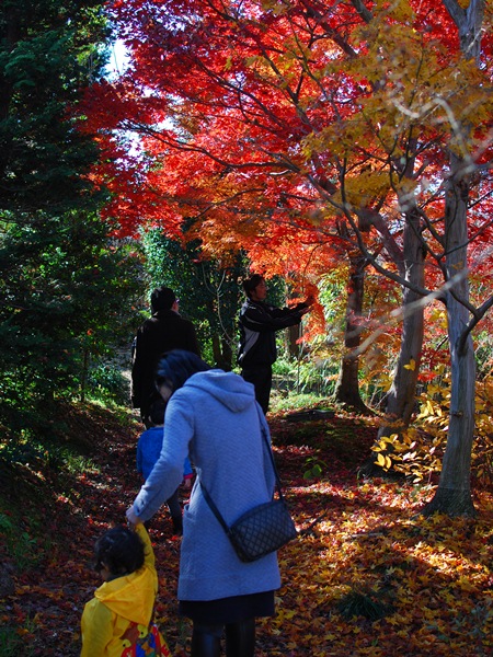 DSC_2342.jpg