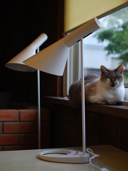 DSC_3396.jpg