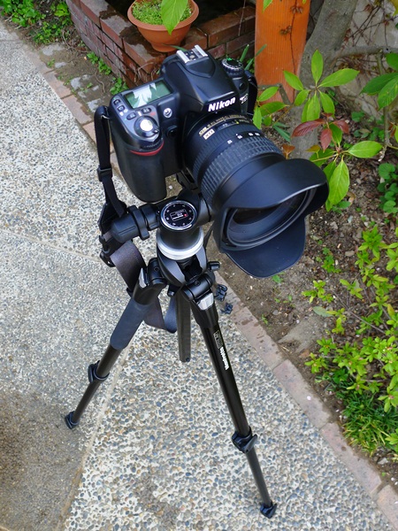 P1100498.jpg
