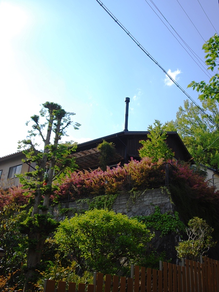 DSC_4650.jpg