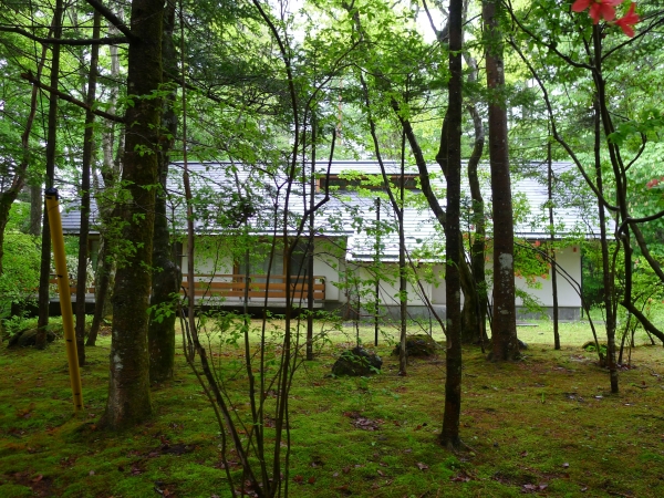P1100566.jpg