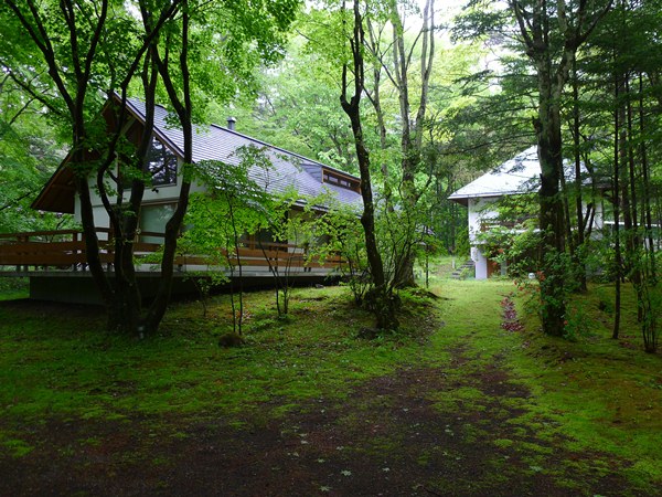 P1100568.jpg