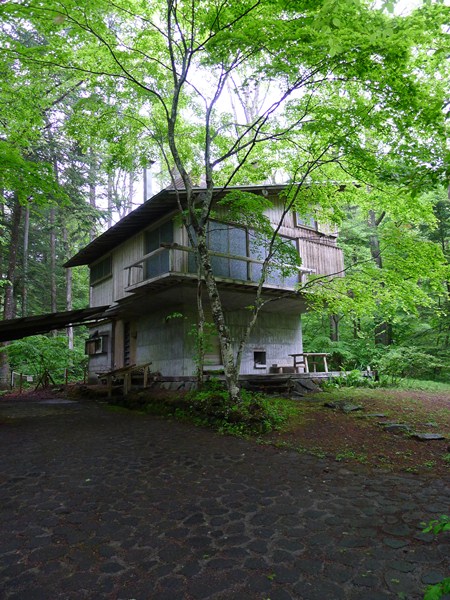 P1100628.jpg