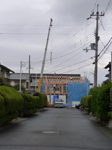 P1110677.jpg