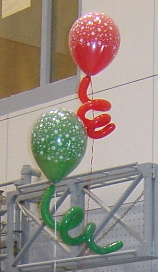 DSC01113.jpg