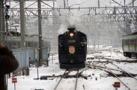 SLクリスマスin小樽2009(北海道SL)