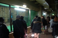 札幌円山動物園スムージアズーナイト