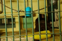 札幌円山動物園スムージアズーナイト