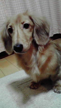 2008101918560001.jpg
