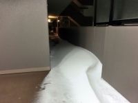 雪が積もった状態