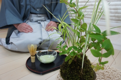 お抹茶 頼藤直秀