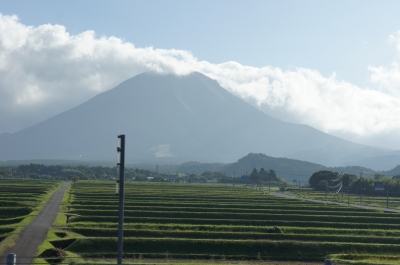 大山 頼藤直秀