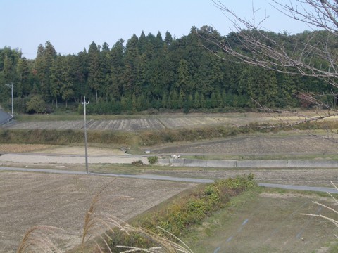 田園を望む2