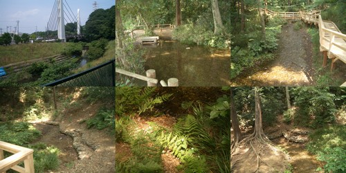 妙音沢・水辺