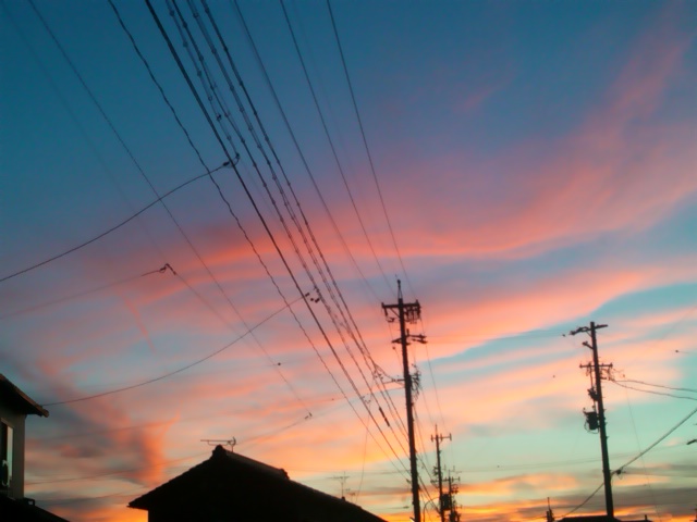 SN3R0353.jpg