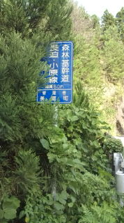 美郷