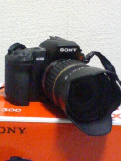 090412_2203~04.jpg