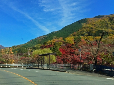 2014.11.21