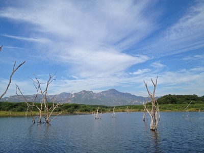 2014.メヒコ風景