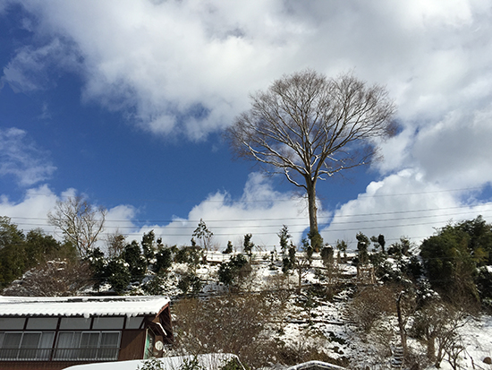 2015.2.1雪画像1