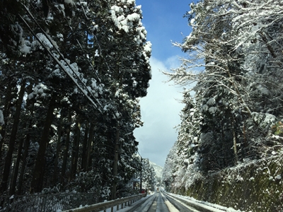 2015.2.1雪画像2